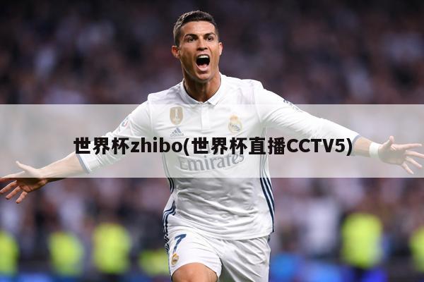 世界杯zhibo(世界杯直播CCTV5)