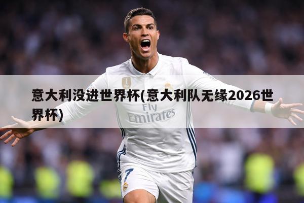 意大利没进世界杯(意大利队无缘2026世界杯)