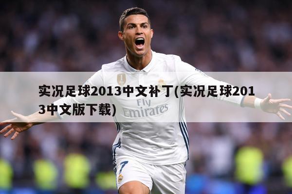实况足球2013中文补丁(实况足球2013中文版下载)