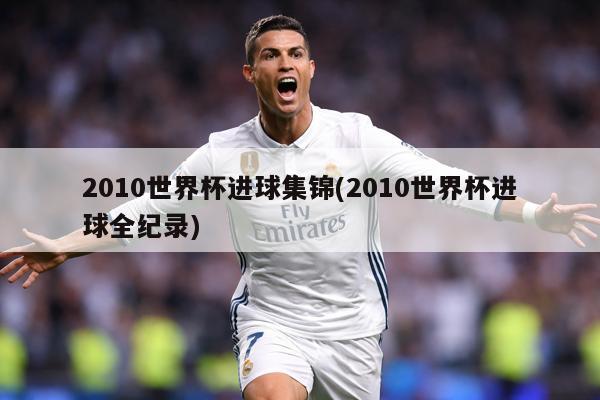 2010世界杯进球集锦(2010世界杯进球全纪录)