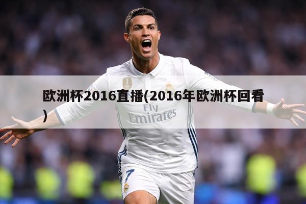 欧洲杯2016直播(2016年欧洲杯回看)