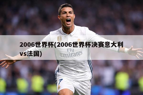 2006世界杯(2006世界杯决赛意大利vs法国)