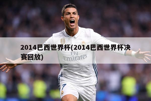 2014巴西世界杯(2014巴西世界杯决赛回放)