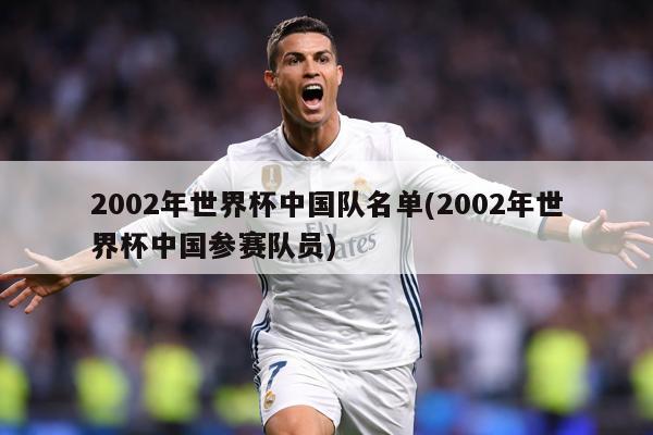2002年世界杯中国队名单(2002年世界杯中国参赛队员)