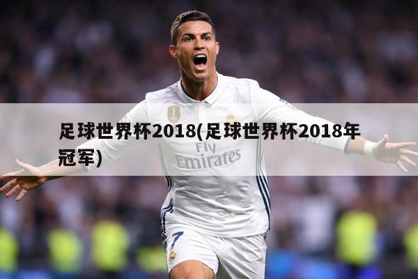足球世界杯2018(足球世界杯2018年冠军)