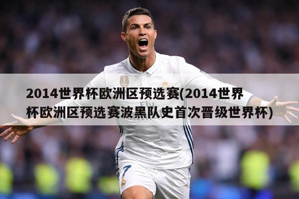 2014世界杯欧洲区预选赛(2014世界杯欧洲区预选赛波黑队史首次晋级世界杯)